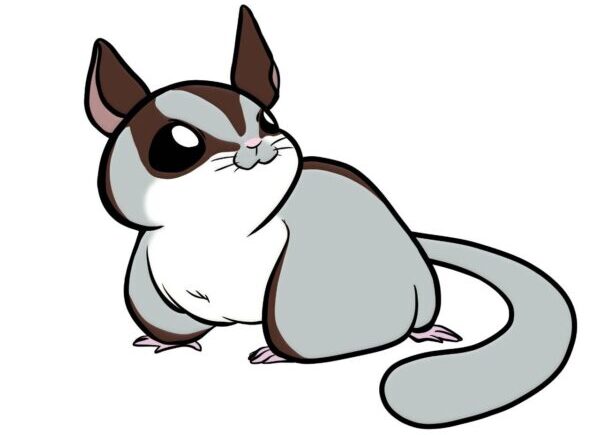 ill_oka_mammal