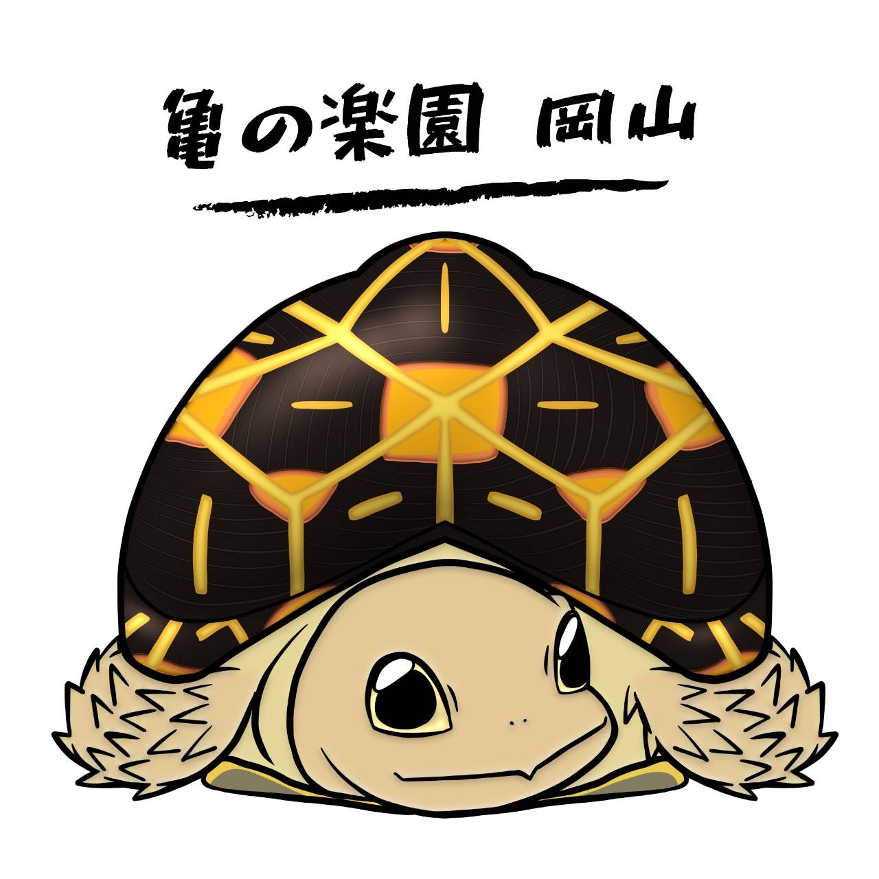 ill_oka_rikukame_03