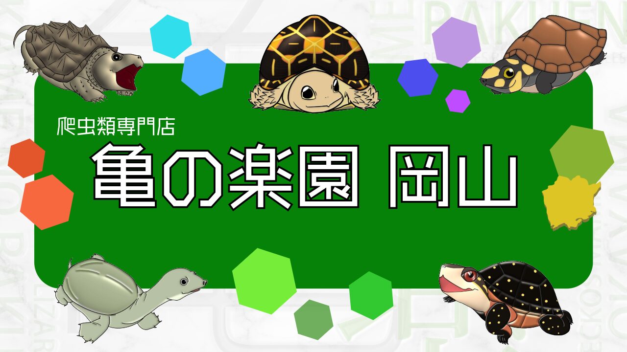 kamenorakuenokayama_mvPC