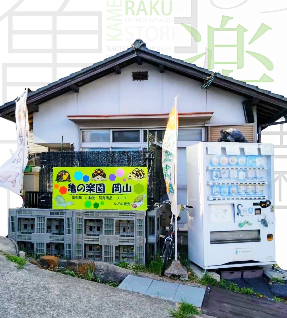kamenorakuenokayama_store