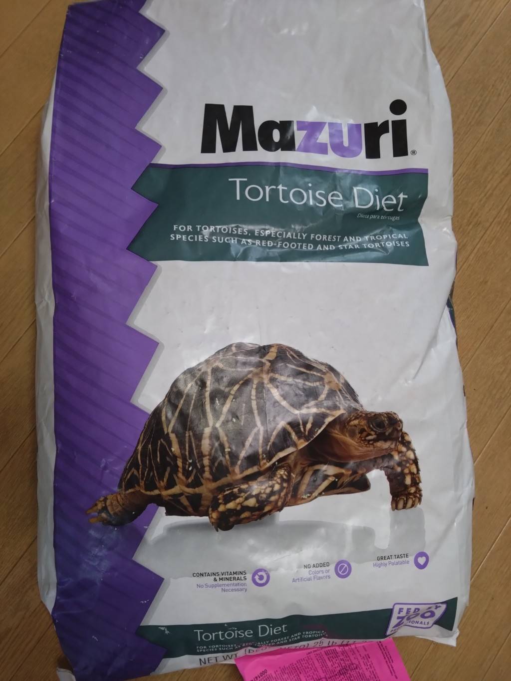 mazuriTortoiseFood20251111