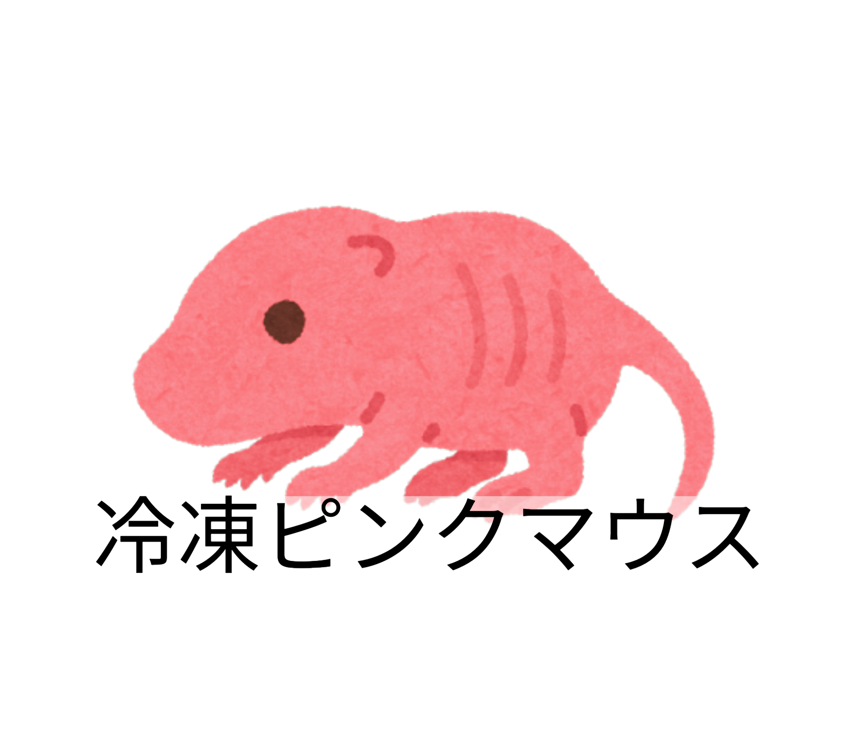 mouse