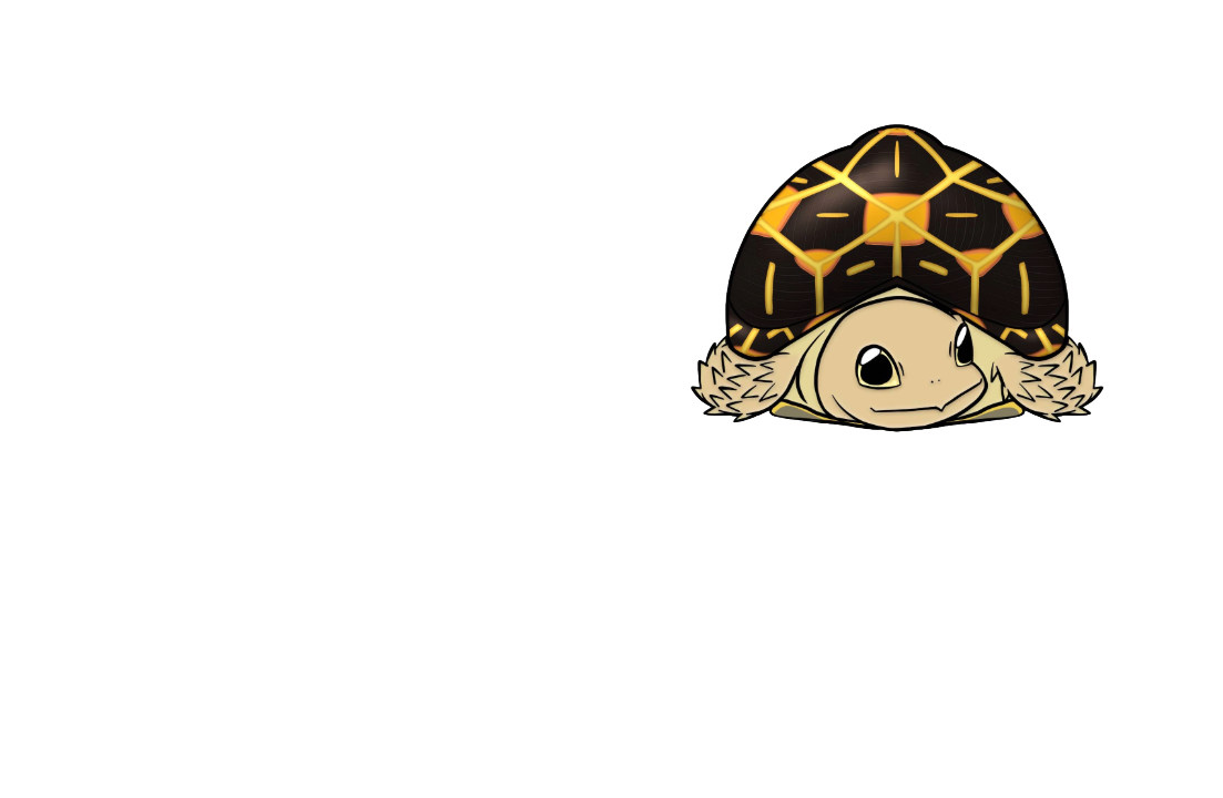 section_message_bg