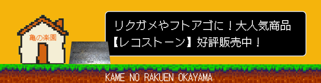 kameNews_recoS