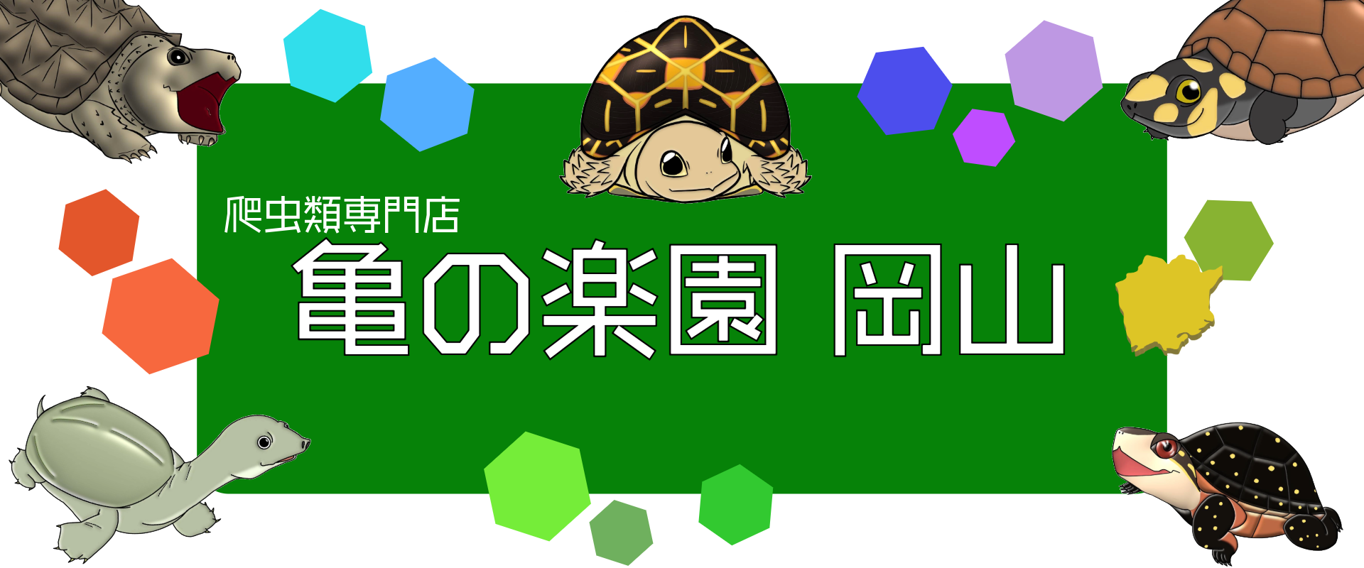 kamenorakuenokayama-mvTp