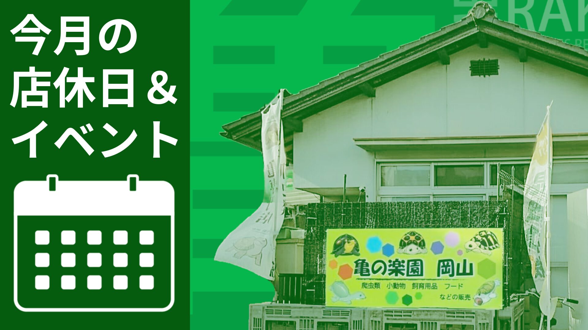 news2026-notification