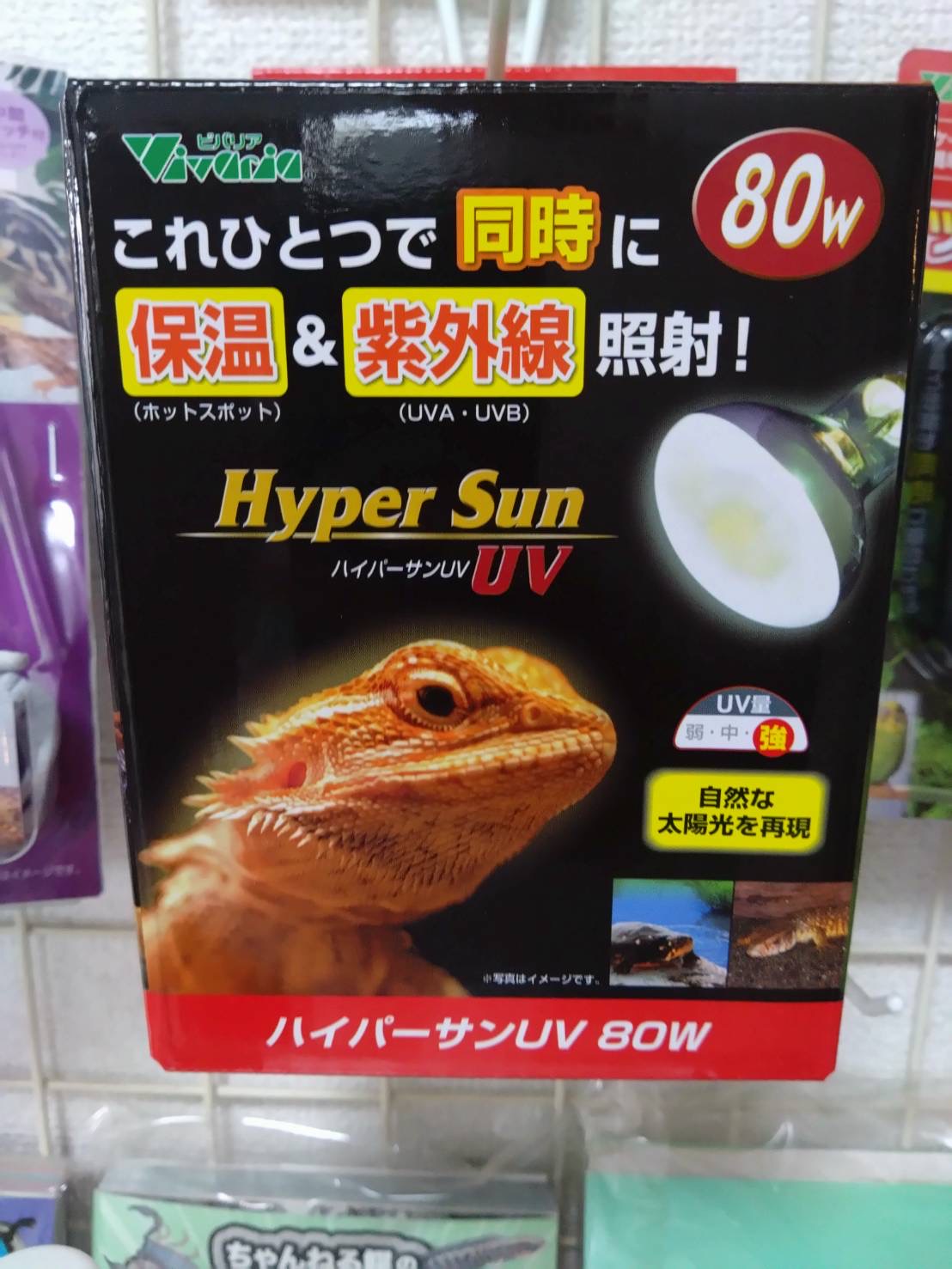 20260526_80w